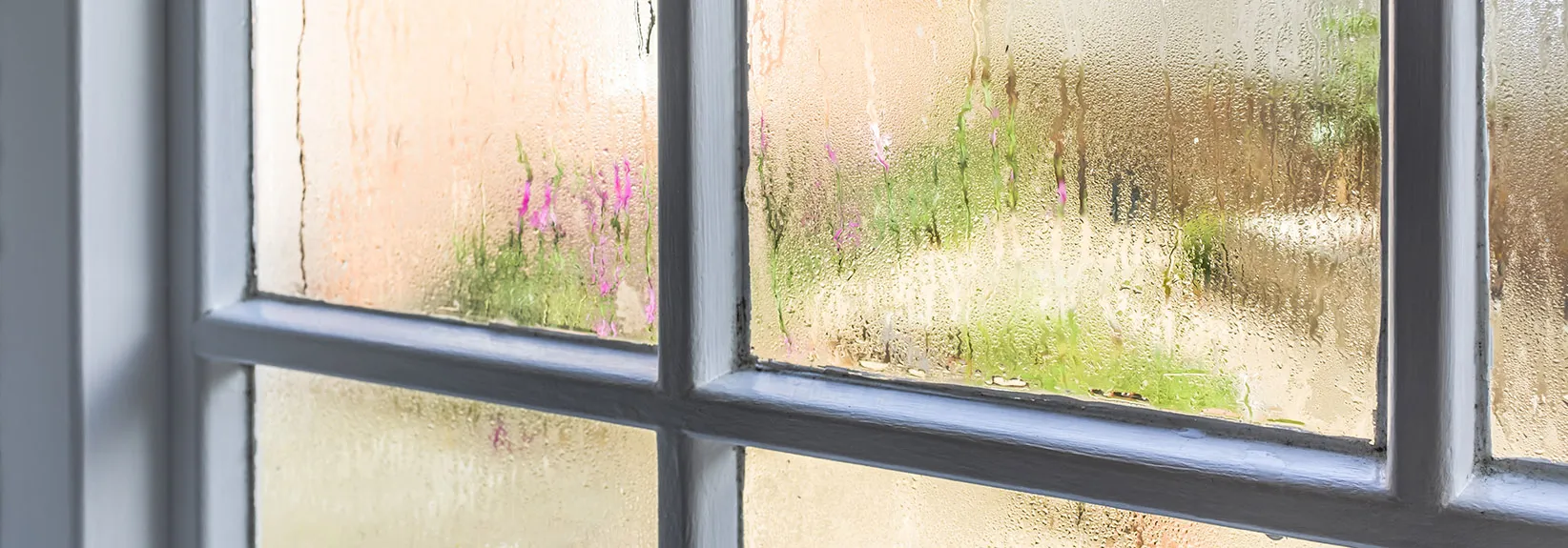 What Should Right Indoor Humidity Be? blog image
