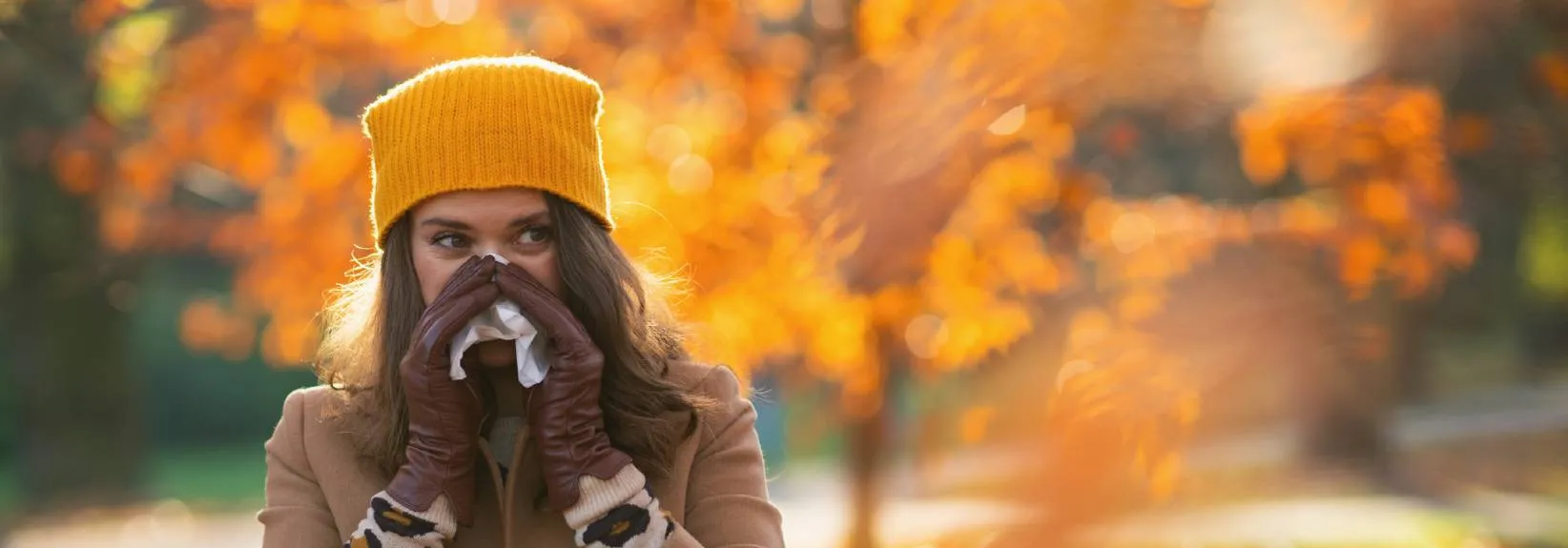 The Rob's Albertan Service Experts Guide to Fall Allergy Season blog image
