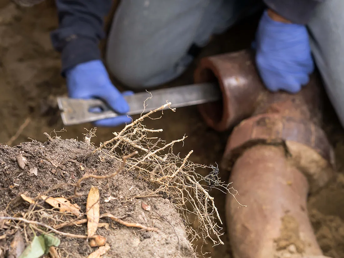 Service Experts technician servicing a sewer line