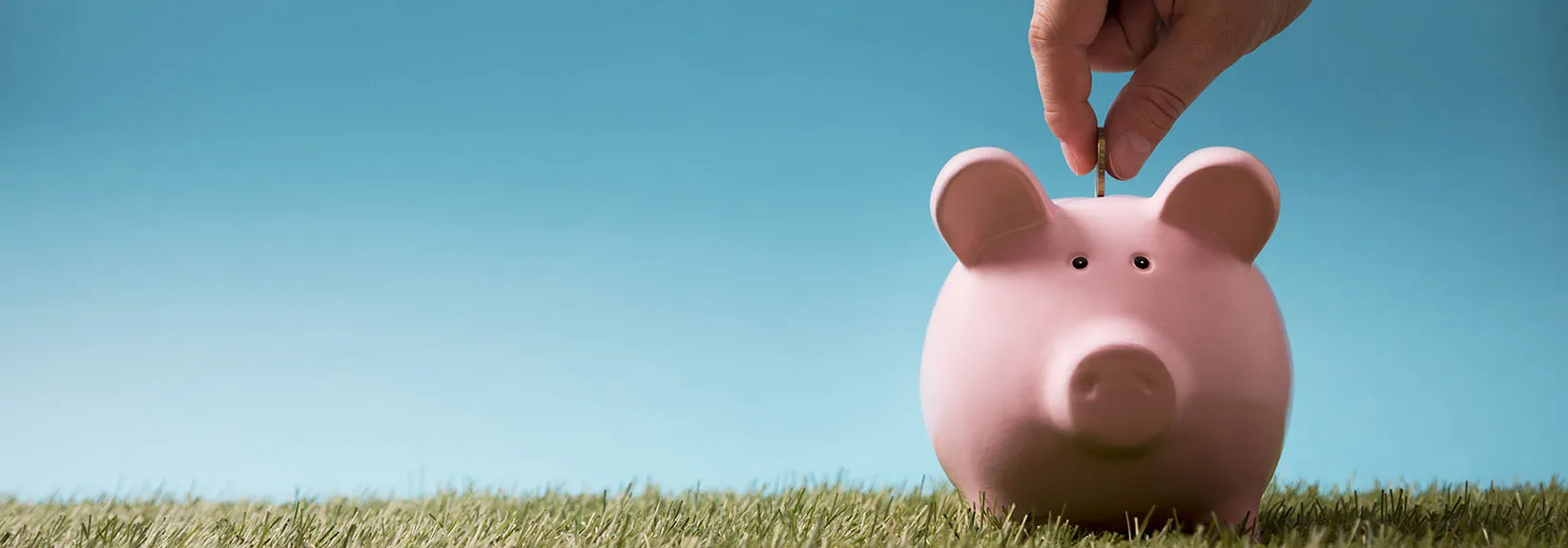 4 Tips for Saving Energy in Edmonton This Summer  blog image